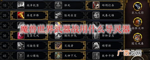 魔兽世界武器战导灵器选择