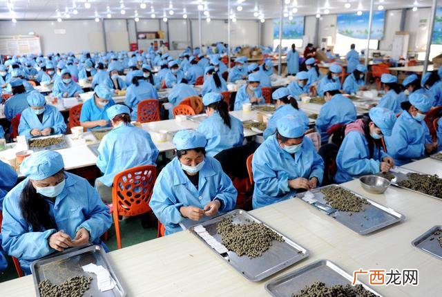 南阳艾条正规厂家批发,艾条批发市场在哪里