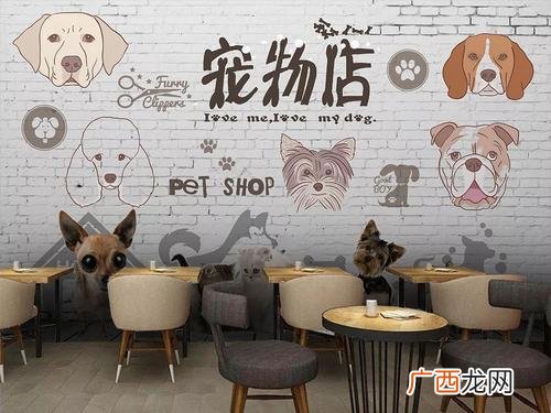 小区门面开什么店比较好呢 低档小区开什么店好