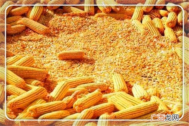 在镇上做点什么生意好 两万元创业做什么生意