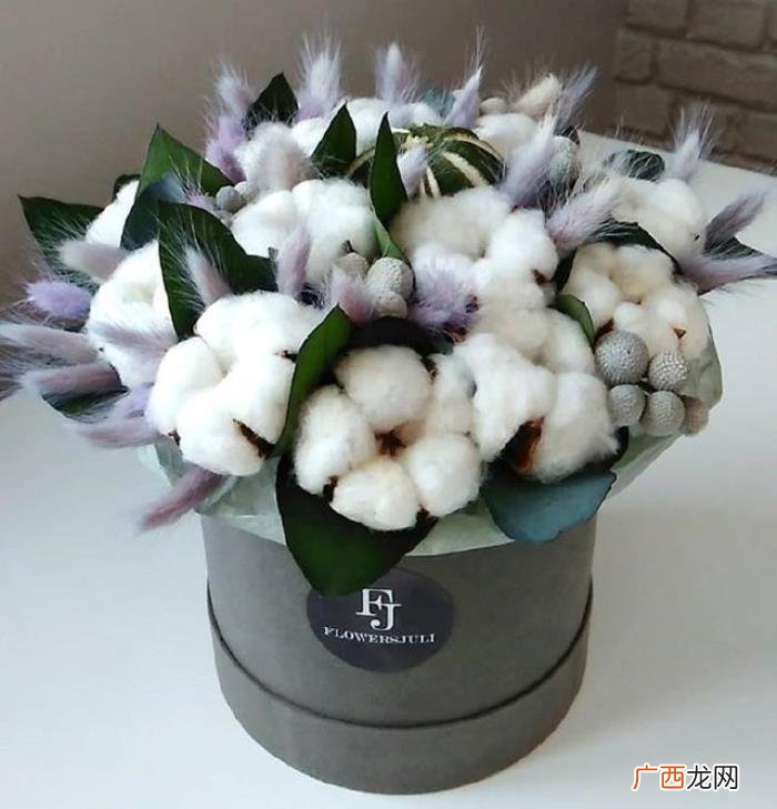 关于元旦的心情说说 元旦说说