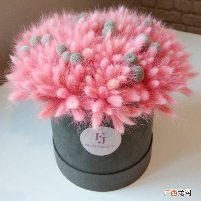 关于元旦的心情说说 元旦说说