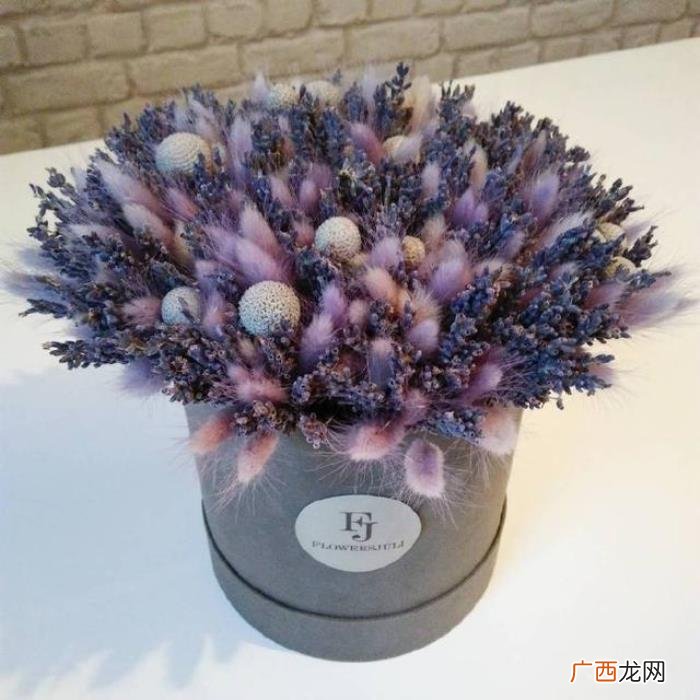 关于元旦的心情说说 元旦说说