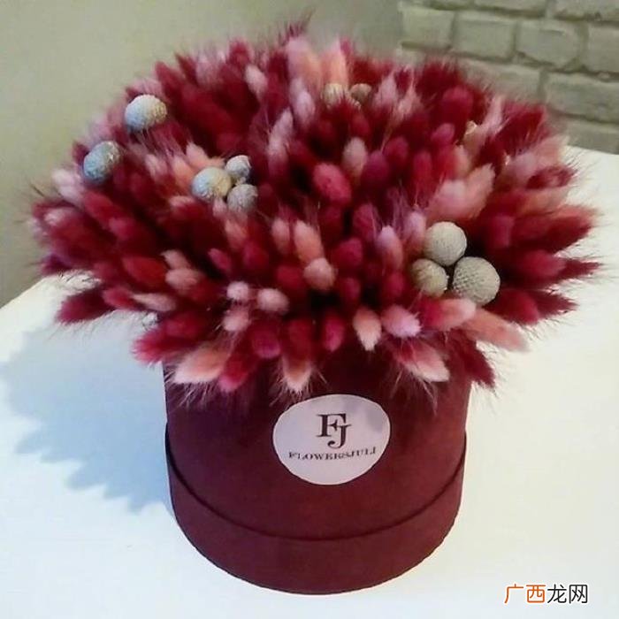 关于元旦的心情说说 元旦说说