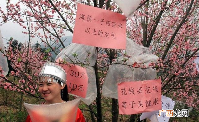 马云预测未来十年最赚钱的,马云预测在未来最赚钱的这个行业