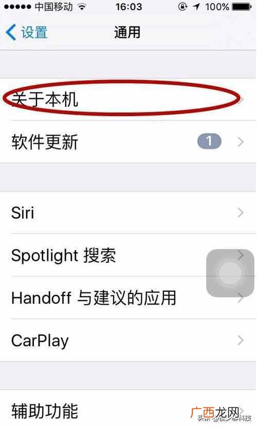 怎么查苹果手机激活时间（苹果手机激活日期查