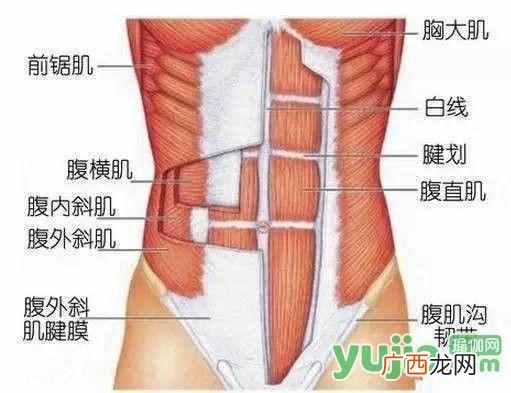 什么是瑜伽？谈谈你对瑜伽认识和理解