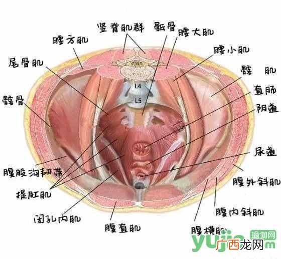 什么是瑜伽？谈谈你对瑜伽认识和理解