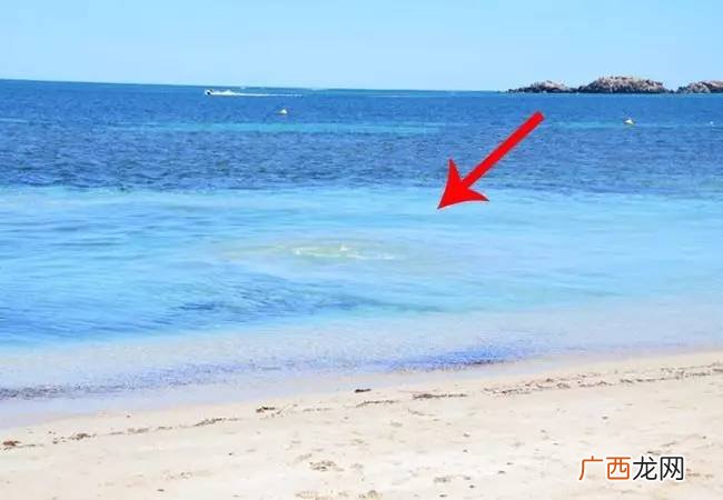 海南的名贵水产有什么 海南水产养殖区