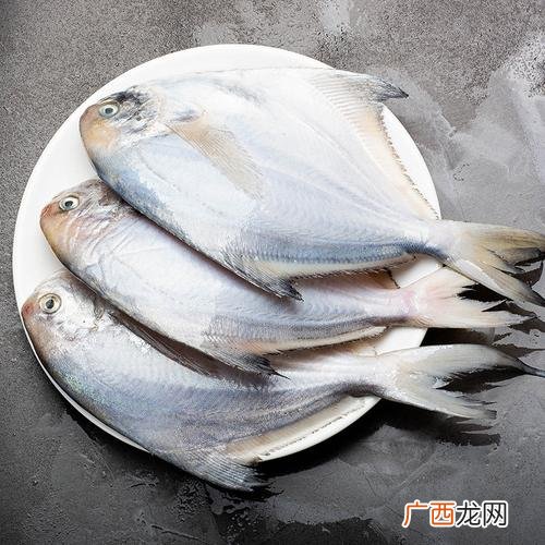舟山鱼种类 舟山水产鱼