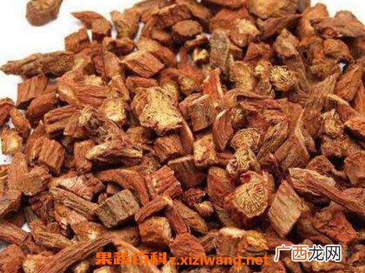 丹参的功效与作用及药用价值