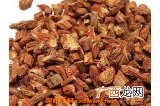 丹参的功效与作用及药用价值
