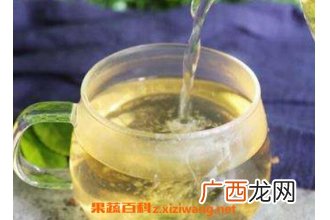 荷叶加什么减肥 荷叶减肥的具体方法