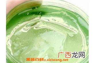 芦荟胶的功效与作用 芦荟胶怎么用