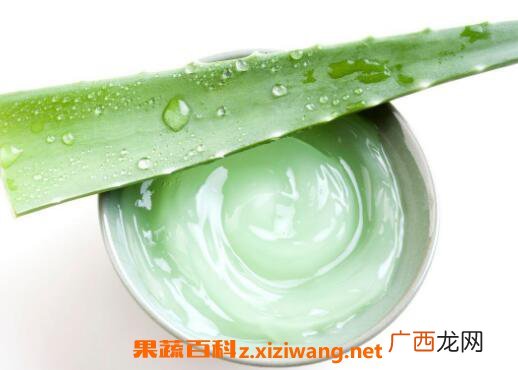 芦荟胶的功效与作用 芦荟胶怎么用