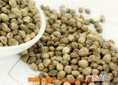 槐米可以煮水喝吗 喝槐米水有什么好处