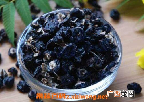 黑枸杞的功效与作用 黑枸杞的食用禁忌