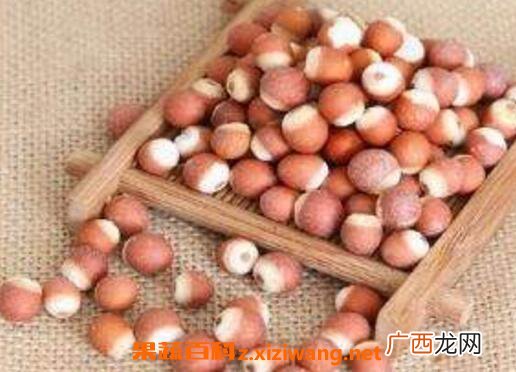 芡实的作用与功效 芡实的吃法
