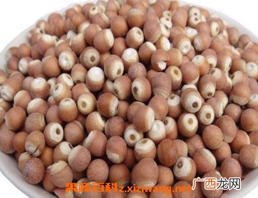 芡实的作用与功效 芡实的吃法