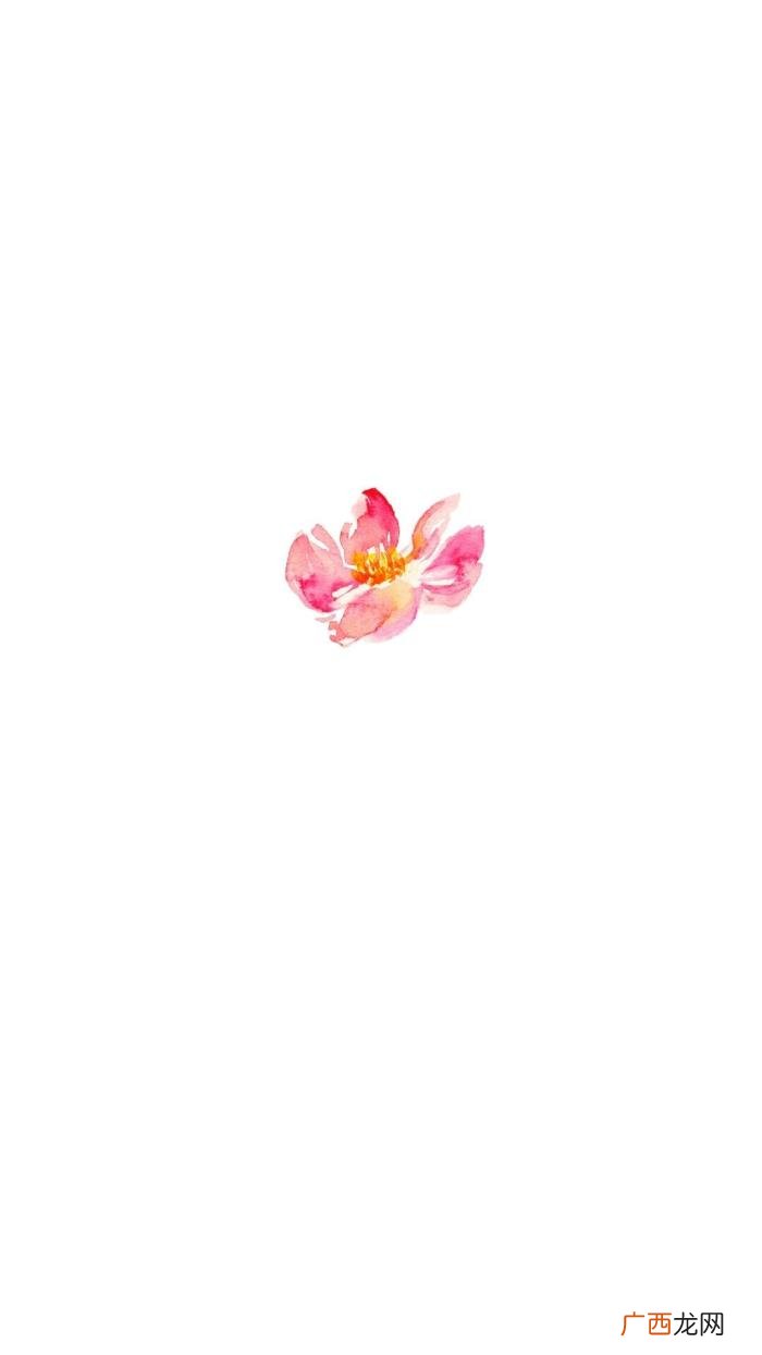 表白的句子简短十个字，文艺有心的情话句子