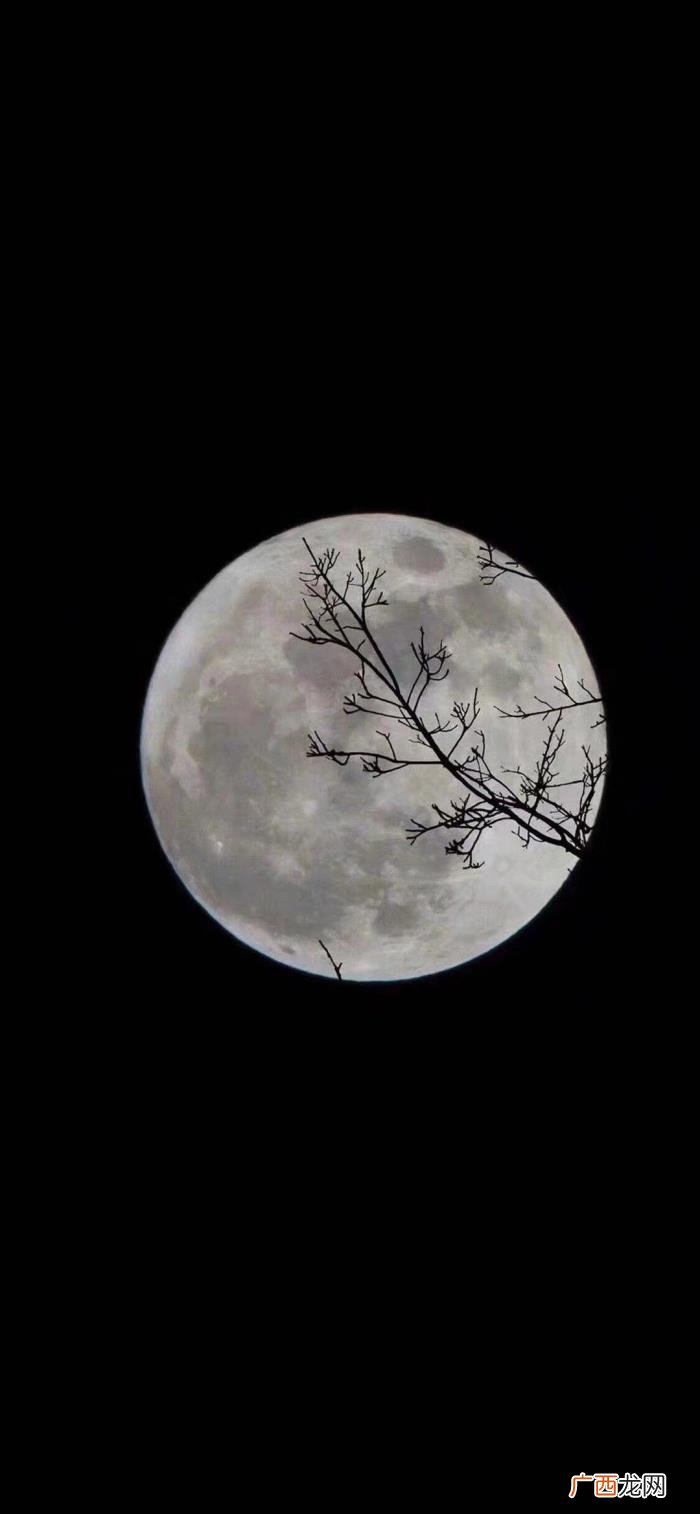 表白的句子简短十个字，文艺有心的情话句子