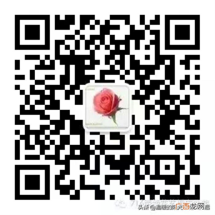 哄老婆开心的话道歉,跟老婆道歉的话要怎么说