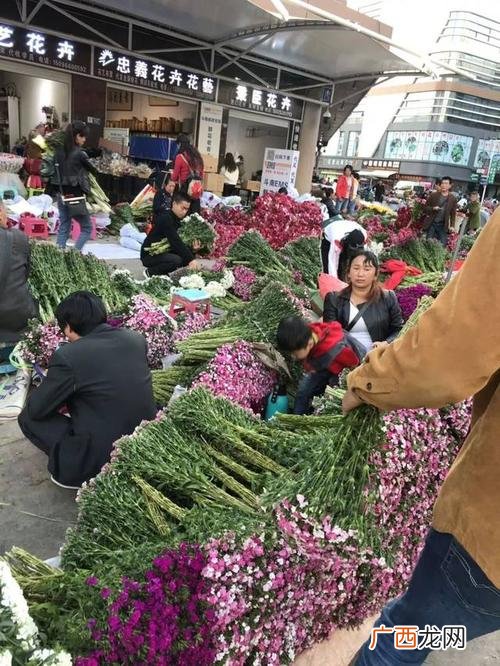 陕西最大的苗木市场在哪里 西安花卉育苗
