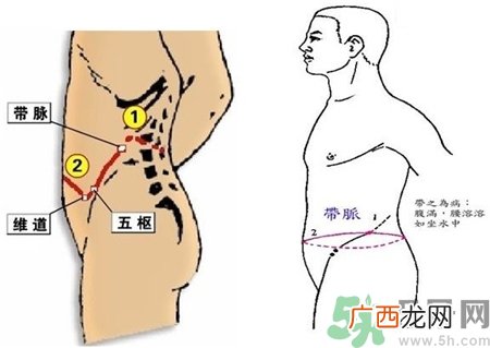 带脉不通对人体造成的影响带脉不通的身体表现