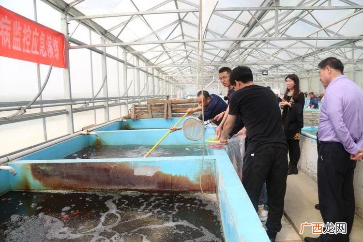 天津水产批发市场哪个好 天津市销售水产的公司