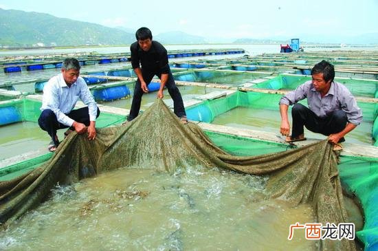 29号台风巴蓬对广州 16号广东台风水产饲料
