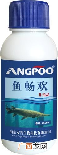 超市里卖水产会亏本吗 水产市场药品好做不