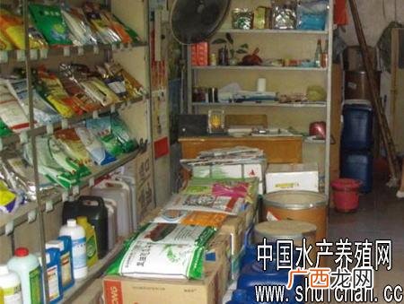 超市里卖水产会亏本吗 水产市场药品好做不