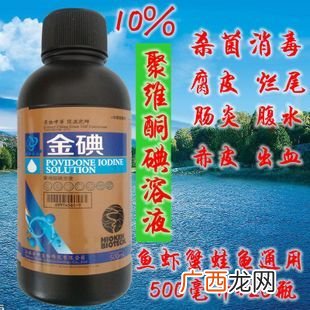 水产聚维酮碘和复合碘区别 消毒类复合碘溶液水产用