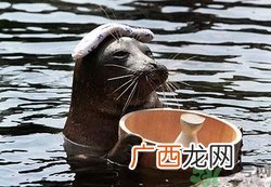 泡温泉需要注意什么？泡温泉注意事项