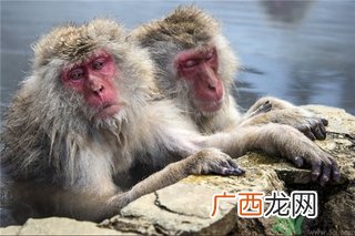 泡温泉需要注意什么？泡温泉注意事项