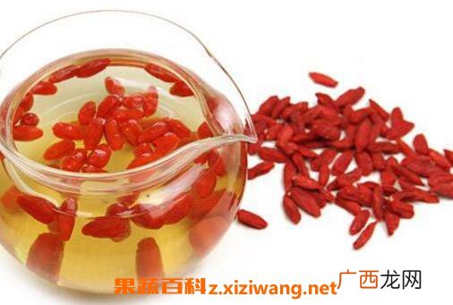 枸杞子泡水喝的坏处 枸杞子泡水有哪些副作用