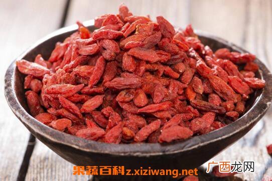 枸杞子怎么吃效果好 枸杞子泡水喝能壮阳吗