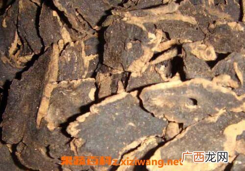 须元参的功效与作用