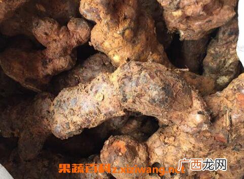 土茯苓的功效与作用 土茯苓的使用禁忌