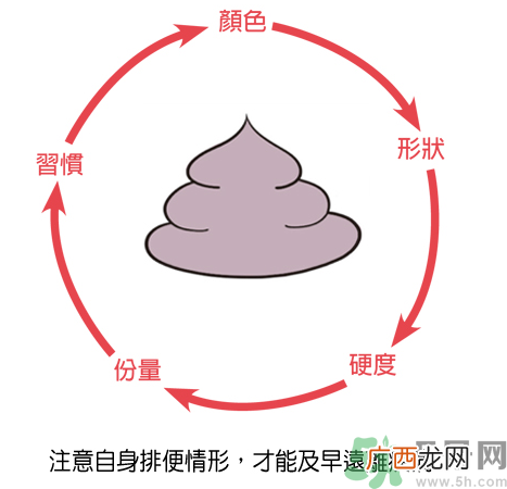 便秘体质的人怎么办？便秘体质怎么调理？