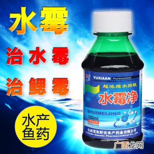 水产店开业祝福语 水产渔药店开业活动