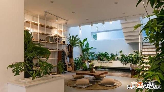 家装行业未来5年发展前景,2021年装修行业的发展趋势