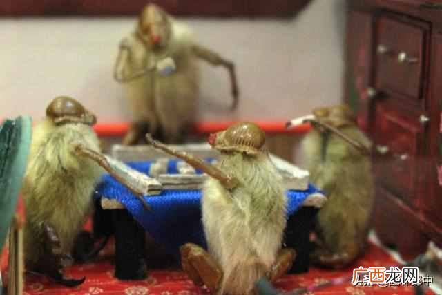 三月开什么花？三月份开的花有哪些