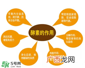 喝酵素拉肚子正常吗？喝酵素拉肚子的原因