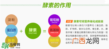 喝酵素拉肚子正常吗？喝酵素拉肚子的原因