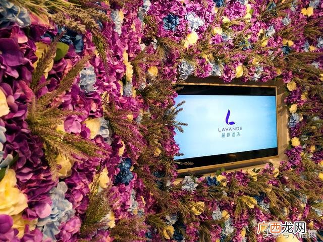 宾馆投资50个房间预算,宾馆15个房间投资预算
