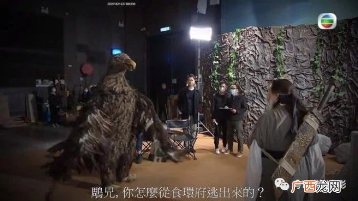 罗乐林是第一代神雕侠侣 神雕侠侣罗乐林