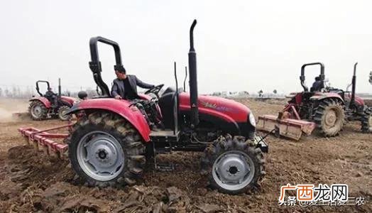 农村干什么最容易赚钱 种什么最赚钱农村广西