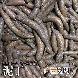 沙虫养殖技术视频 水产养殖塘里的沙虫