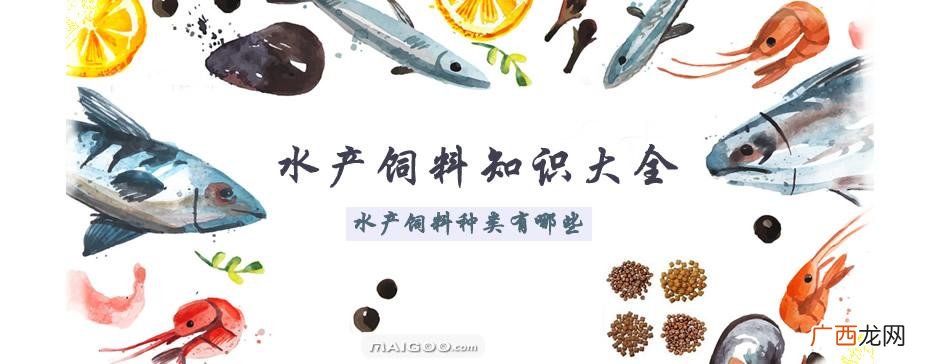 养殖水产品有哪些 水产品养殖期